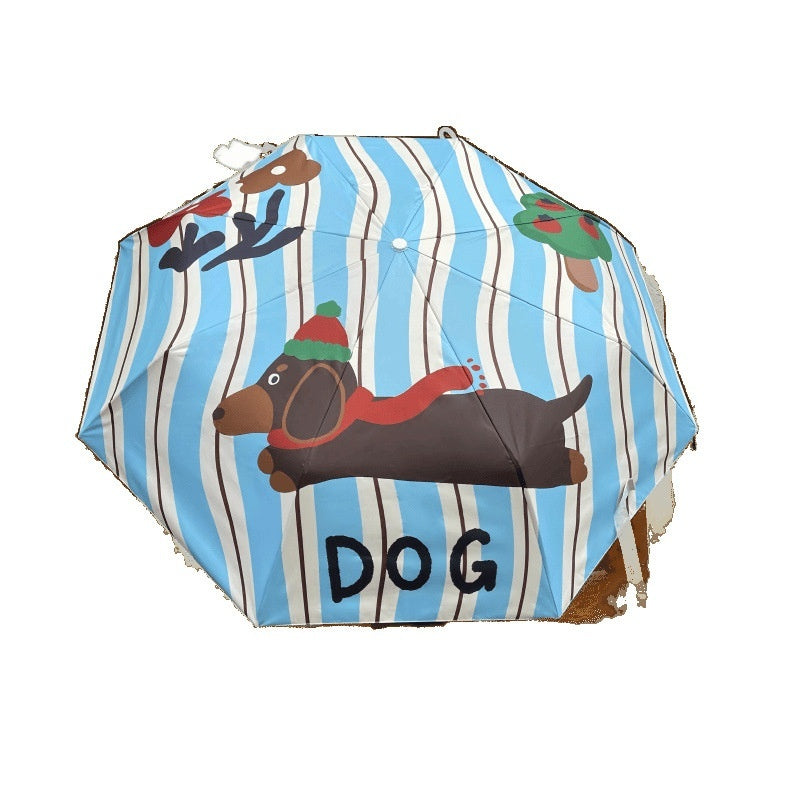 A Group Of Sausage Dog 50 Off Sun Umbrellas