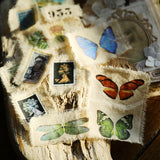 Plant Leaves Flower Rub On Stickers Aesthetic Scrapbooking Journal Decoration DIY Craft