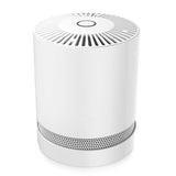 Portable Desktop Air Purifier