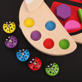 Puzzle Ladybug Game Fishing Block Set