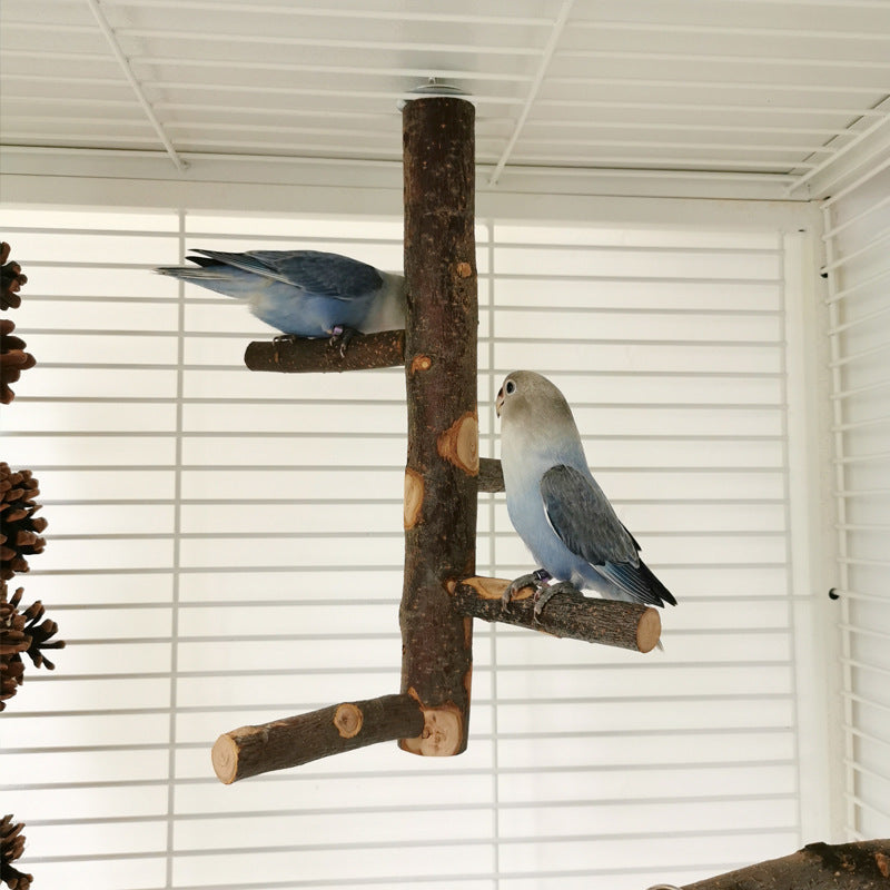Parrot Bird Вуд биист қутби Toy