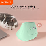 Carefully Selected Ergonomic Vertical Wireless Mouse