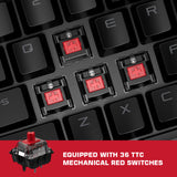 Keyboard and mouse