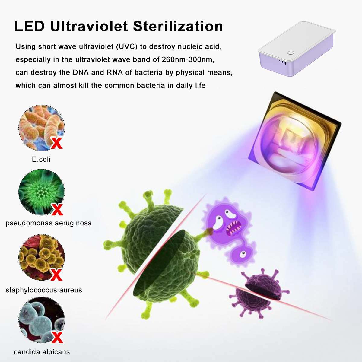 Cell phone sterilization box