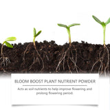 Plant Nutrition Powder Growth Of Flowers And Plants