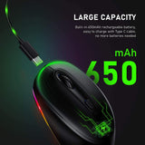 24g Wireless Mouse 1600dpi Ergonomic Rechargeable