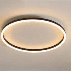 Romantic Ceiling Personalized Study Lighting