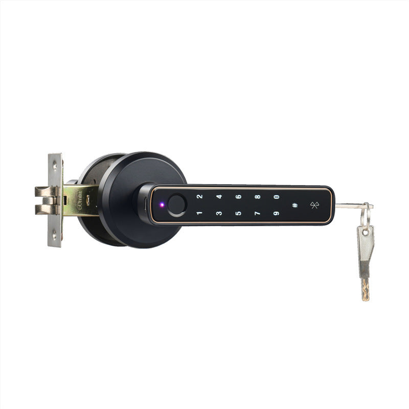 Wooden Door Fingerprint Lock Spherical Smart Lock Bedroom Door Graffiti Bluetooth