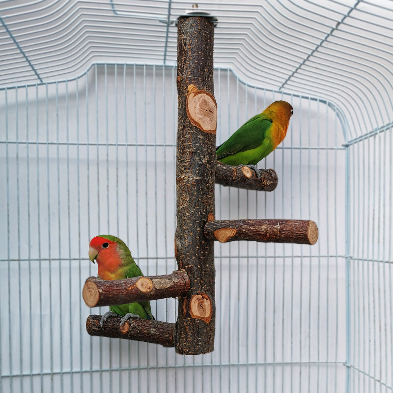 Parrot Bird Вуд биист қутби Toy