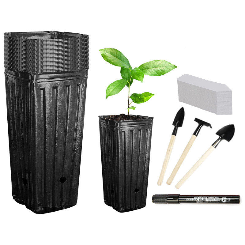 Simple Solid Color Plastic Deep Nursery Tree Pot