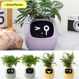 Smart Planter фароғати беохир зиёда аз 49 ифодаи бой 7 сенсорҳои интеллектуалӣ ва чипҳои AI парвариши растаниҳоро осон ва шавқовар мекунанд