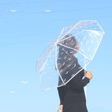 Folding Umbrella Fully Automatic Umbrella Transparent Multi Color