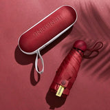 Folding Umbrella