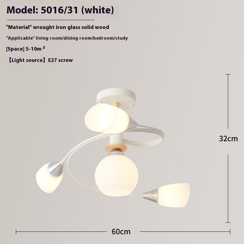 Ceiling Light Simple Restaurant Iron Droplight