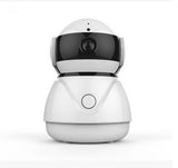 Surveillance camera listener