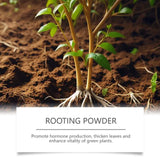 Root Nutrition Powder Plant Mining Hair