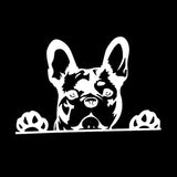 2PC Car Sticker Dog Pattern Sticker Animal Reflective Car Sticker Rear Window Glass Scratch Sticker