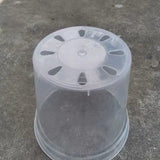 Transparent Phalaenopsis Plastic Nutrition Bowl Flower Pot