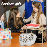 Garden Lawn Decoration Solar Hollow Turtle Resin Crafts