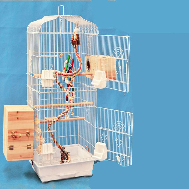 сайёр Пет Намоиши Wire Паррандаи Parrot Қафаси