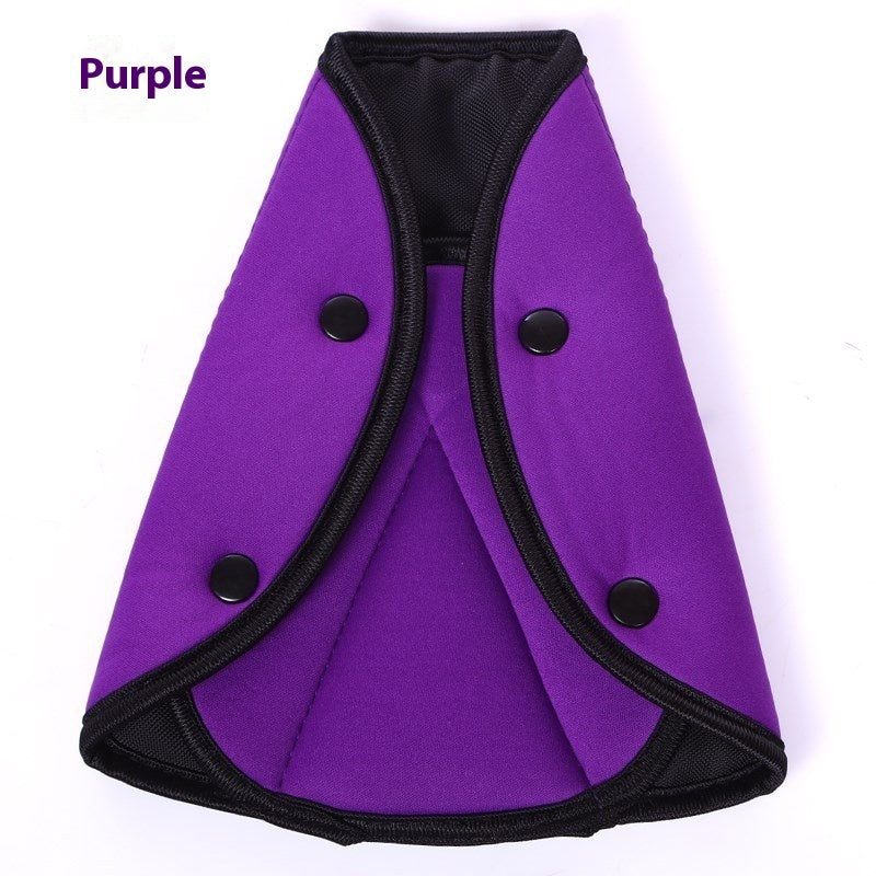 CAR Children's Seat Belt Holder