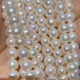 Natural Freshwater Pearl Beading Material