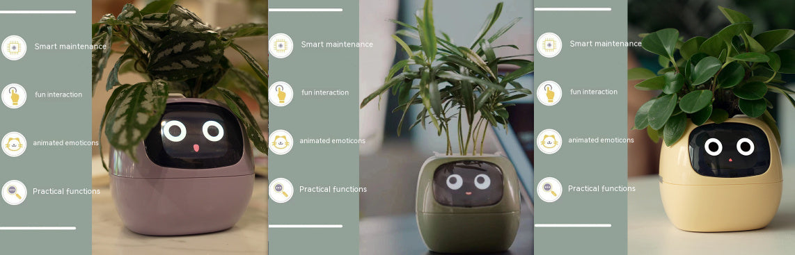 Smart Planter фароғати беохир зиёда аз 49 ифодаи бой 7 сенсорҳои интеллектуалӣ ва чипҳои AI парвариши растаниҳоро осон ва шавқовар мекунанд