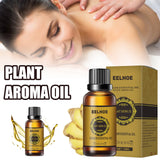 Занҷабил Essential Oil 10ml Равғани растанӣ масҳ бадан намӣ