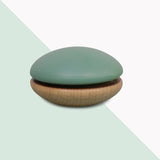 Children's Early Education Wooden Ball Toy