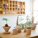 Handmade Small Pottery Pot With Tray Pottery Clay Breathable Flowerpot