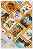 Cotton Nordic Stamp Girl Print Fabric