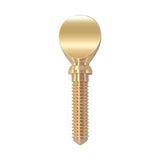 Flat Screw Saxophone Fittings Golden Instrument