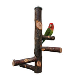 Parrot Bird Вуд биист қутби Toy