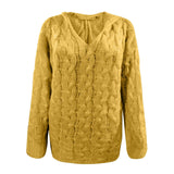 Women's Plus Size Casual Sweater