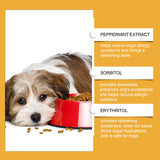 Dog Body Nutrition Care Supplement Drops