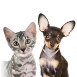 Pet Dogs And Cats Fashion Simple Collar Leash