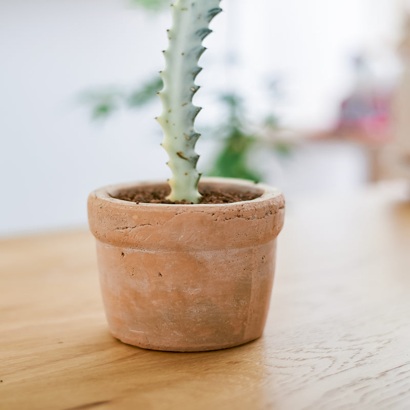 Handmade Small Pottery Pot With Tray Pottery Clay Breathable Flowerpot