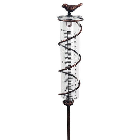 Outdoor Garden Lawn Cast Iron Bird Glass Hyetometer