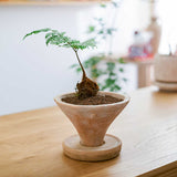 Handmade Small Pottery Pot With Tray Pottery Clay Breathable Flowerpot