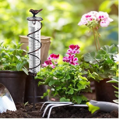 Outdoor Garden Lawn Cast Iron Bird Glass Hyetometer