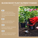Plant Nutrition Powder Growth Of Flowers And Plants