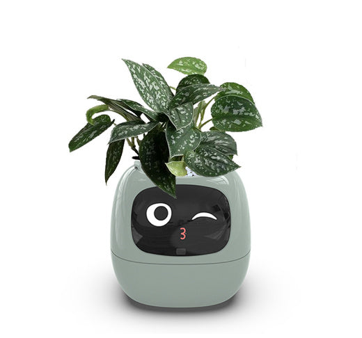 Smart Planter фароғати беохир зиёда аз 49 ифодаи бой 7 сенсорҳои интеллектуалӣ ва чипҳои AI парвариши растаниҳоро осон ва шавқовар мекунанд