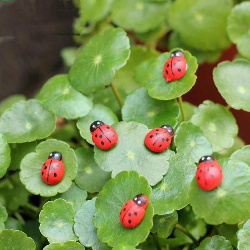 New Wooden Craft Beetle Ornaments